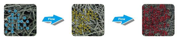 型號說明 型號說明