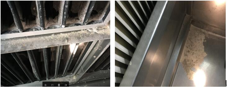 VOLVE空氣過濾器1-岱創 VOLVE空氣過濾器1-岱創