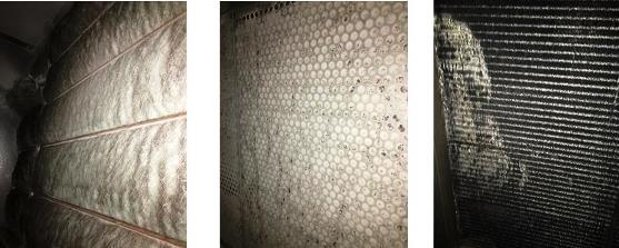 漆霧氈3 漆霧氈3