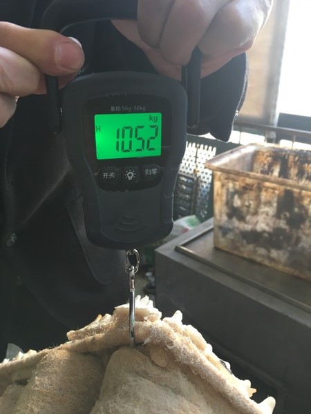 捕捉漆霧后稱重 捕捉漆霧后稱重