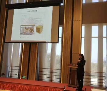 岱創&杜爾 岱創&杜爾