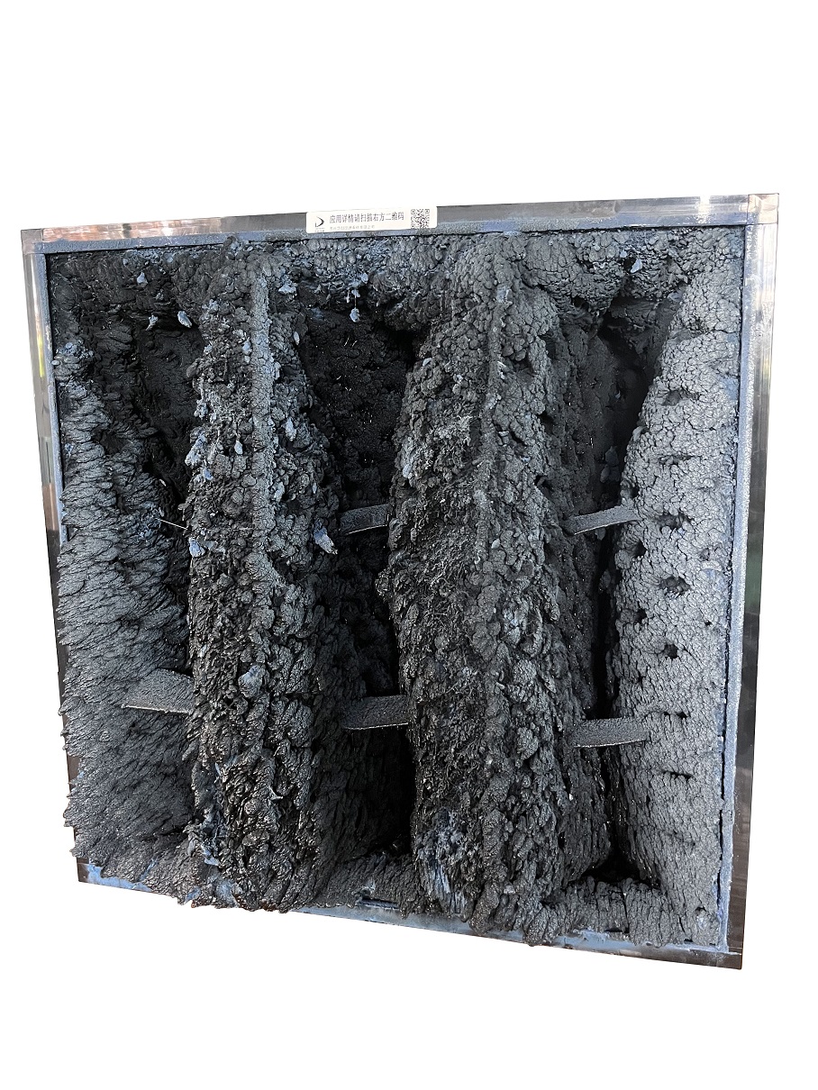 微信圖片_20220810171302 微信圖片_20220810171302