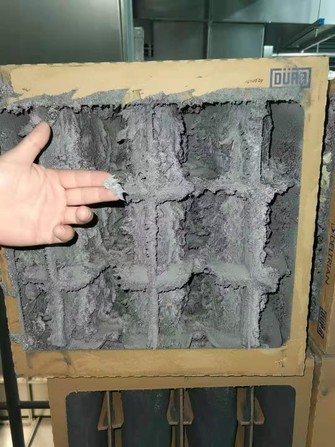 微信圖片_20250731125212 微信圖片_20250731125212